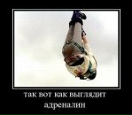 Ульяна Ніколенко фотография #4 (источник - https://vk.com/id38461390)