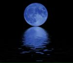 Фотография Городковой Софьи