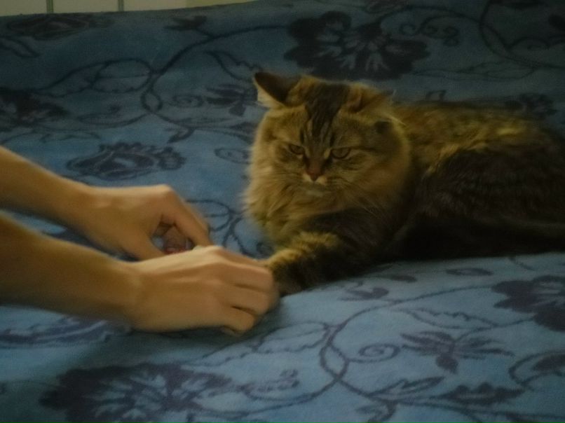 Женя Дмитриев фотография #9