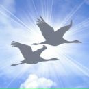 Фотография Голикова Андрея