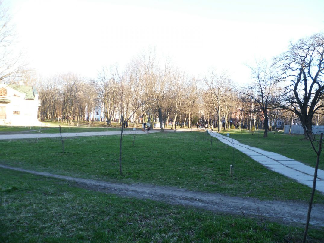 Dragon Fly фотография #11