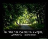 Тетяна Алєксандрова фотография #46 (источник - https://vk.com/id10524297)