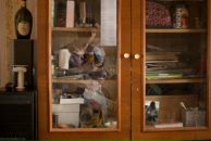 Фотография Белкина Дмитрия