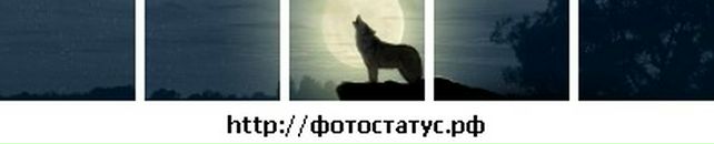 Андрій Шаповал фотография #49 (источник - https://vk.com/id61901827)