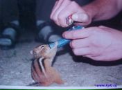 Міша Падик фотография #23 (источник - https://vk.com/id153186701)