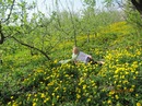 Вікусік Кукусік фотография #49 (источник - https://vk.com/id137133691)