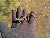 Віталік Майданський фотография #44 (источник - https://vk.com/id24347604)