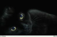 Фотография Ершовой Марины