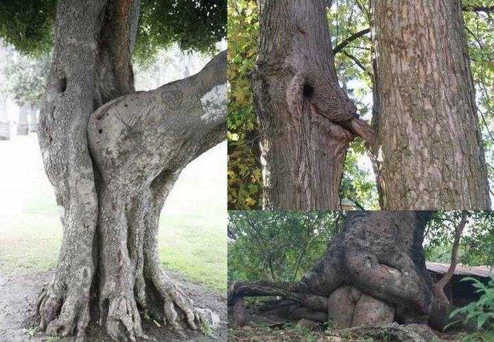 Дмитрий Симон фотография #35