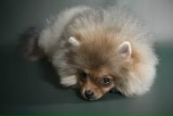 Фотография Туровой Женечки