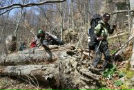 Дашка Мушка фотография #43 (источник - https://vk.com/id1863252)