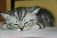 Фотография Питерской Татьяны