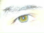 Фотография Кибакина Юрия