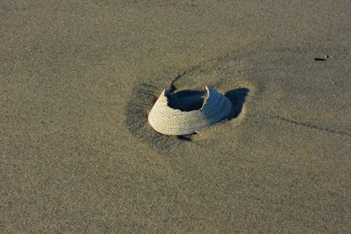 Глеб Петров фотография #29