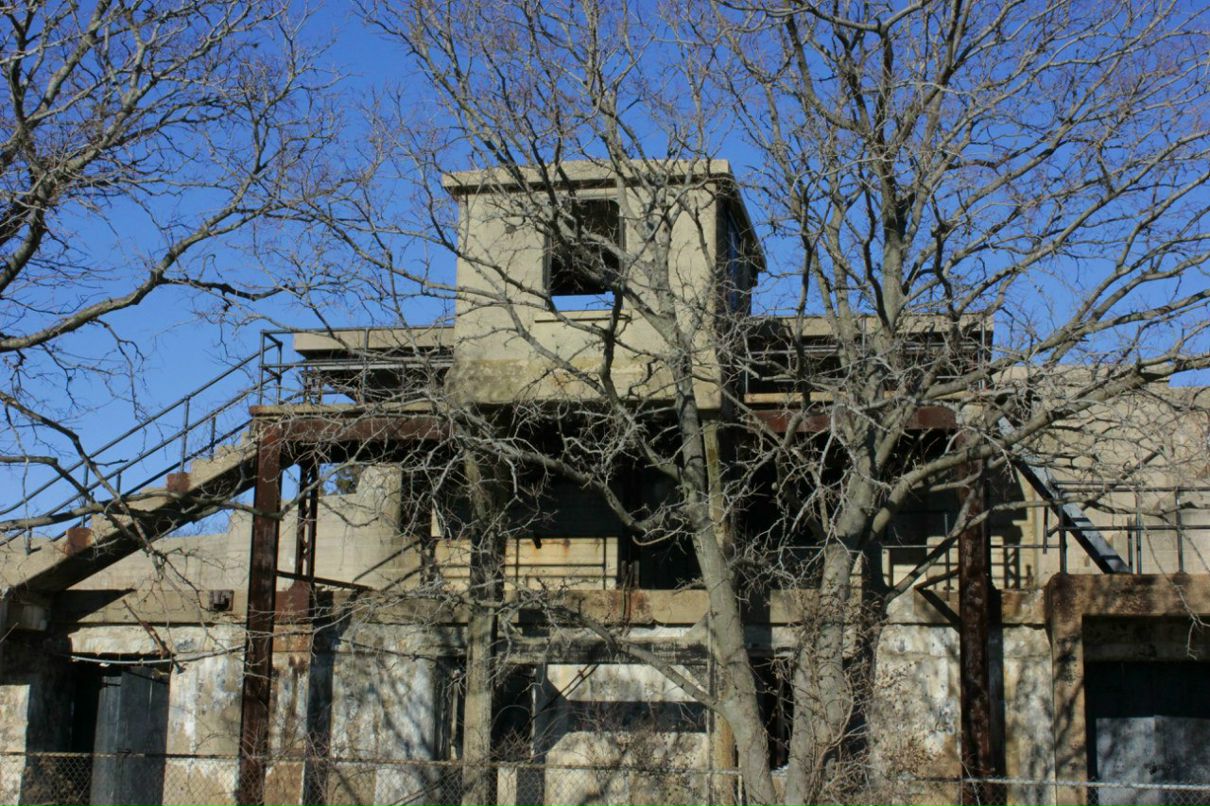 Глеб Петров фотография #45