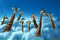 Фотография Мусиной Ольги