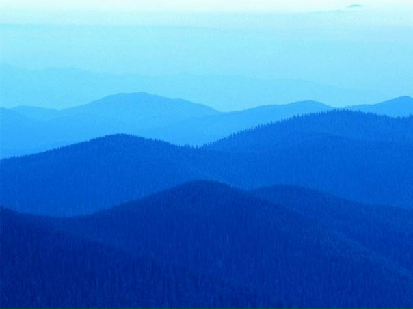 Ава Ава фото №1