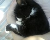 Вадім Клем фотография #12 (источник - https://vk.com/id115071792)