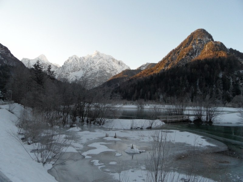 Александр Белич фотография #43