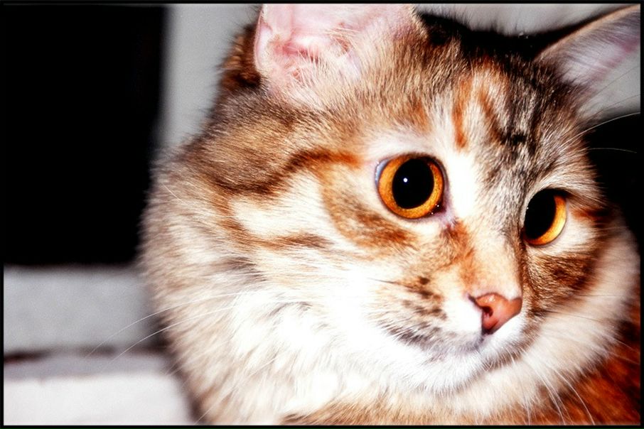 Eeeeeeeeee Eeeeeeeeeee фото №1