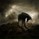 Фотография Шипилова Антона