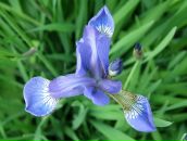 Мирослав Збірко фотография #14 (источник - https://vk.com/id87492158)