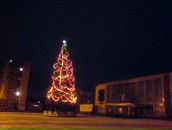 Фотография Orehov Alexandr