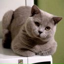 Фотография Класс Рабочий