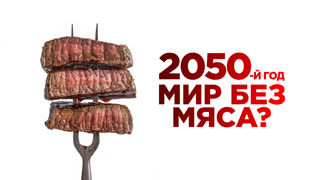 2050-й год. Мир без мяса?